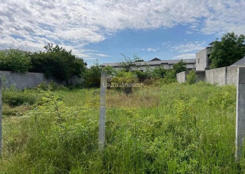 Teren Ghencea- Dantelei- Darvari.