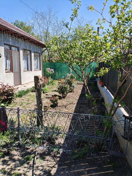 Oportunitate investi?ie: Doua case (batraneasca + construc?ie noua) in aceea?i curte - 6
