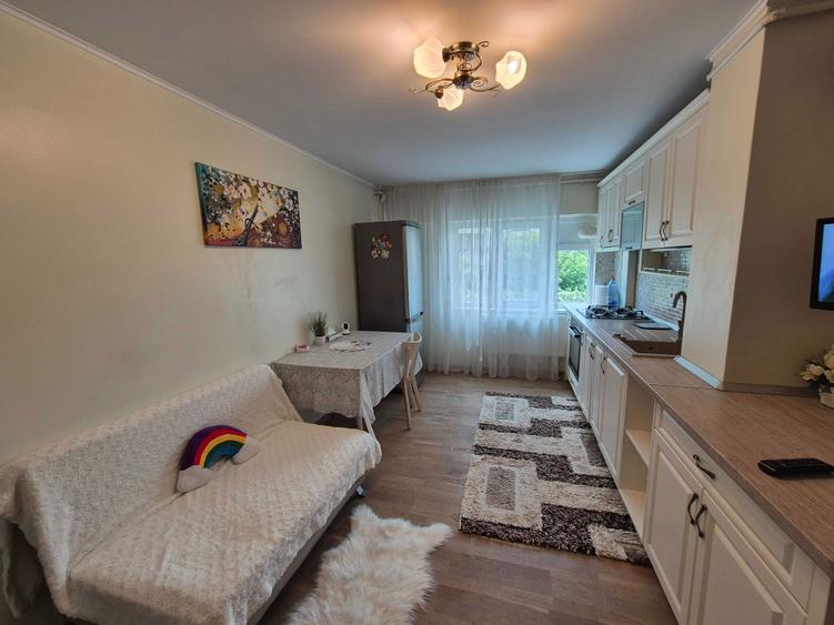 Apartament 2 camere de inchiriat ultracentral - 5