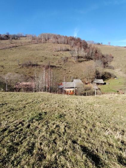 Teren cu Parau Muntele Baisorii - 3