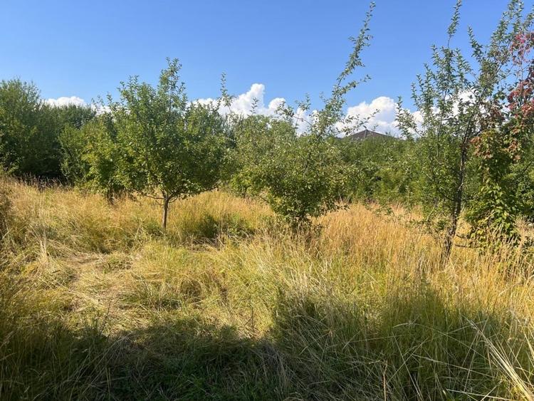 Teren cu PUZ zona strazii Macesului, ideal constructie casa - 2