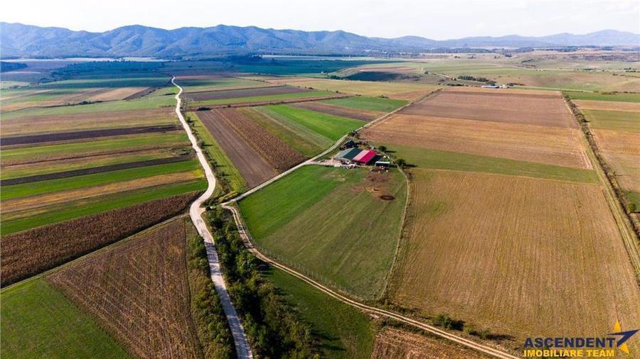 FILM! 18.000 mp,extravilan,agricol+constructii, recomandat:ferma,investitii agricole,Rotbav,Brasov - 13
