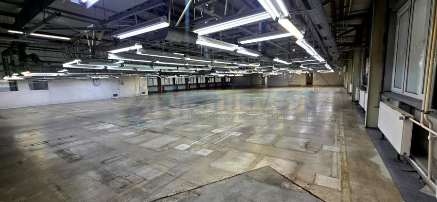 Hala de inchiriat in Marghita pentru productie si depozitare, Bihor - 4