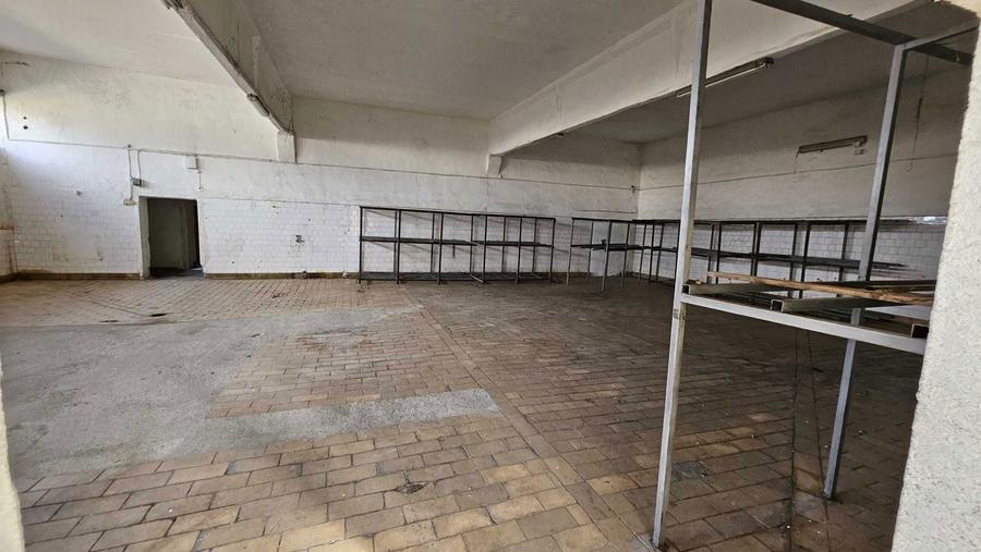 Hale Depozit Birouri de INCHIRIAT Alexandria - 5