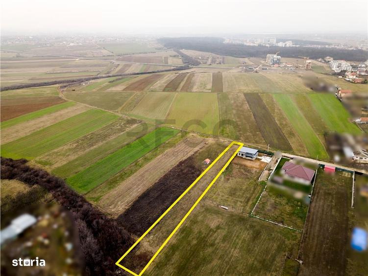 RECO teren Cordau - 9