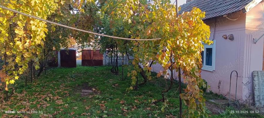 Vand casa Rusane?ti - 4