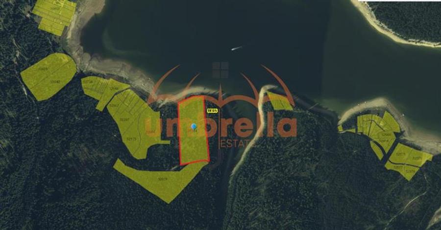 Teren de vanzare 29.131m²/35€ m² lac Belis, la Paraul Butoaie, Giurcuta - 5