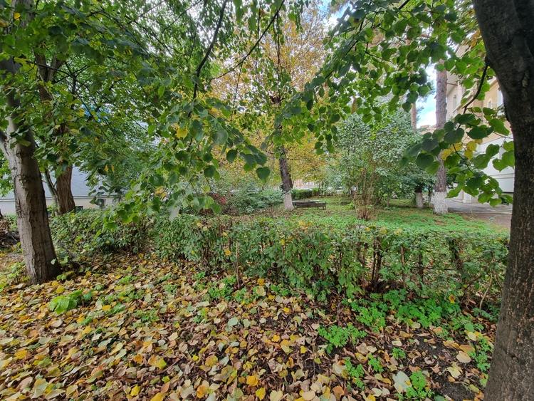 Aviatori-bloc tip vilă- 2 camere- renovat recent- boxă pe acte și pod - 10