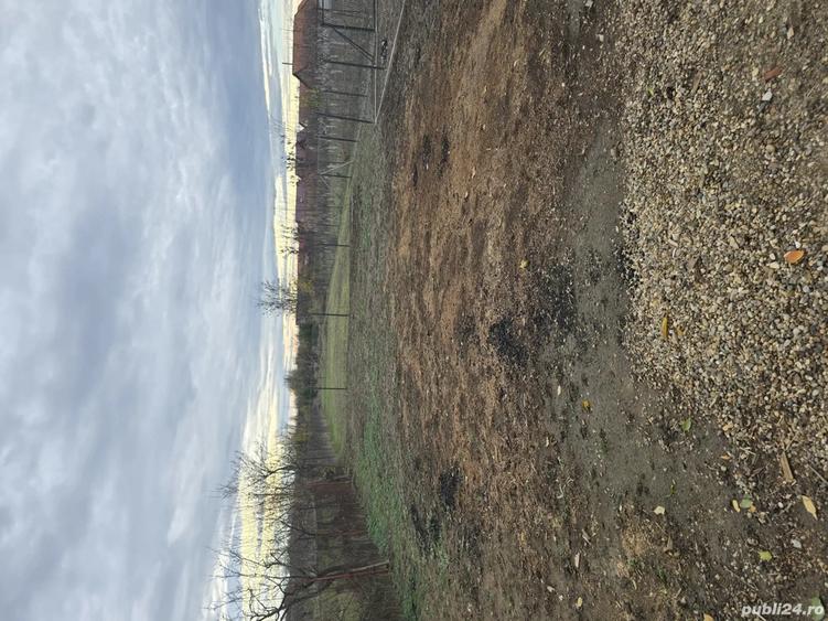 Vand casa cu gradina in Ciumeghiu - 1