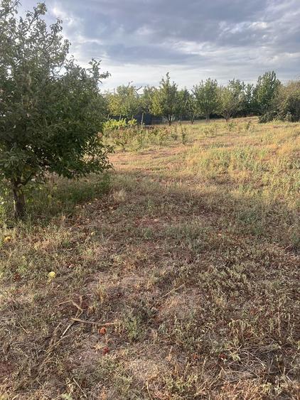 Vand teren intravilan - 2