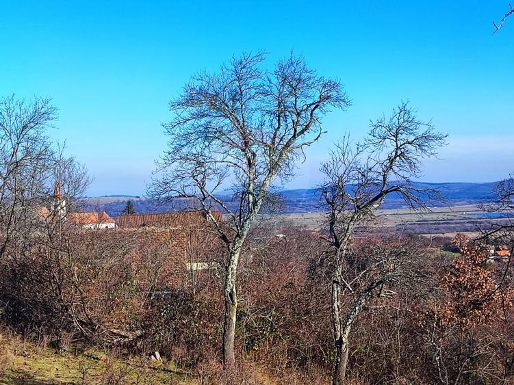 Teren intravilan de vânzare – Vale (Saliste), județul Sibiu - 4