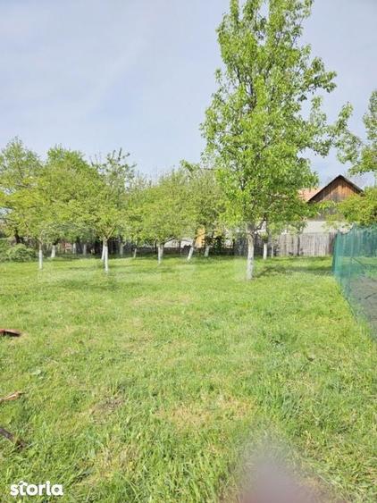 Casa individuala in loc. Livada / Petrestii de Jos - 1