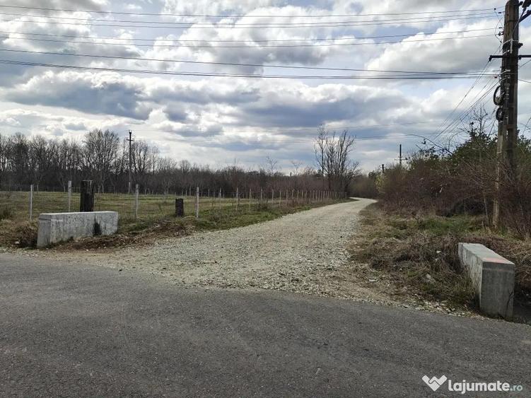 Teren Intravilan 1.472 mp Cotmeana - Linte?ti, Utilita?i la gard, langa Padure - 7