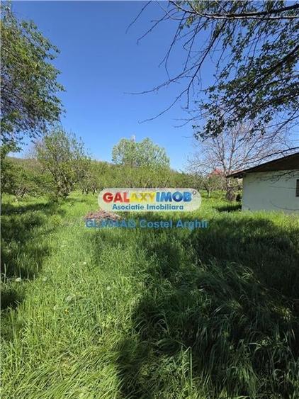 Vindem teren intravilan 3600 mp Calinesti , deschidere 58 m - 6