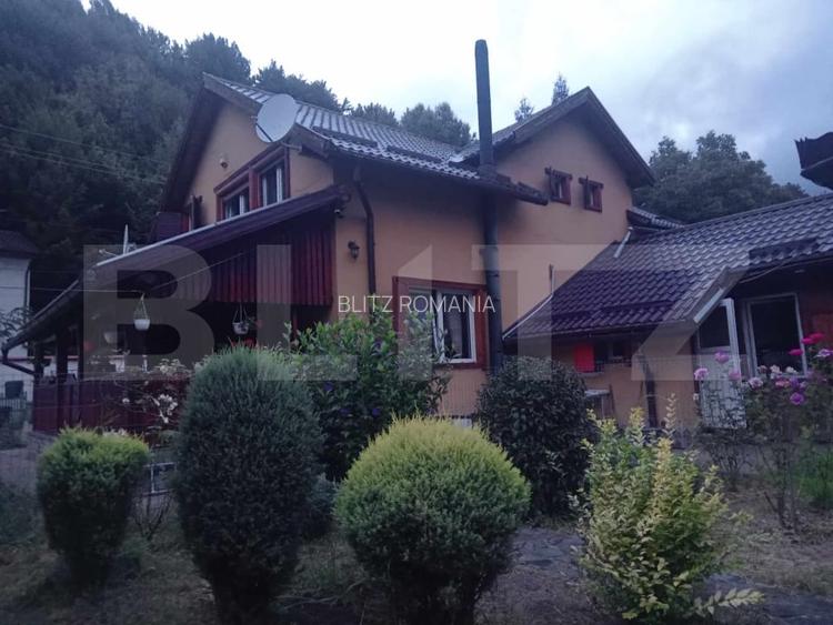 Casa ideala pentru locuit, relaxare sau investitie turistica - in Rastolita Casa ideala pentru locuit, relaxare sau investitie turistica - in Rastolita