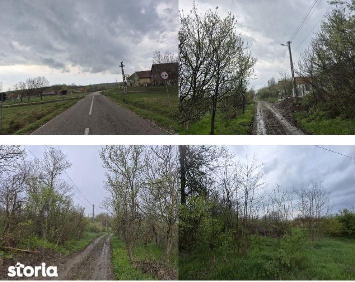 -cota 3/8 din teren extravilan Com. Constantin Daicoviciu, jud. Caras - 5