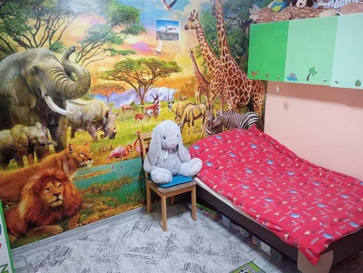 RECO Apartament 2 camere , parter , zona Ghibu - 4