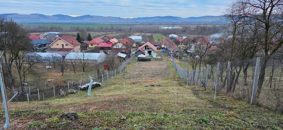 Proprietate deosebită în sat Chinari – Sântana de Mureș - 7