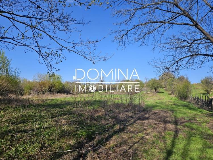 Vanzare teren 4606 mp - Sat Balta - Runcu - la aproximativ 20 km de Targu Jiu - 4