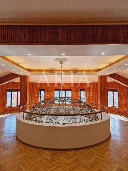 VANZARE VILA | HALA IN VLADICEASCA | SNAGOV | 10.500 MP TEREN - 10