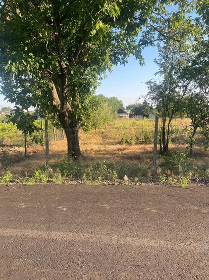 Vand Teren 1500 m2 (Sau 2 loturi a 750 m2 fiecare) (Pret negociabil) - 3