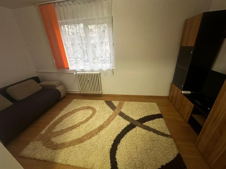 Apartament cu 2 camere, etajul 1/4, PET FRIENDLY, zona Podu Ros - 3