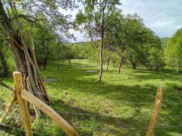 Teren de vanzare in Bradulet Arges