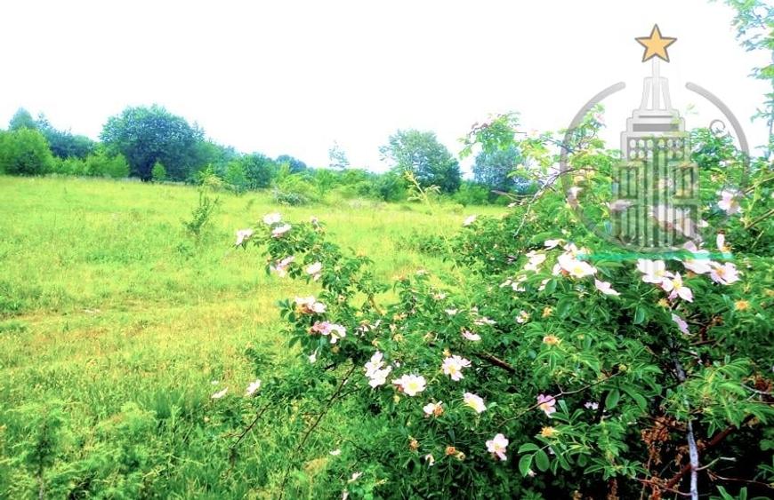 Teren extravilan  potențial turistic ridicat – Dejani, Recea, Munții Făgăraș - 3