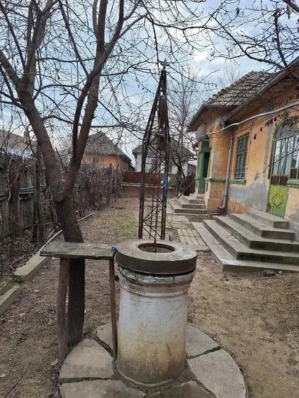 Vand casa in com.Poiana Mare,jud.Dolj - 3