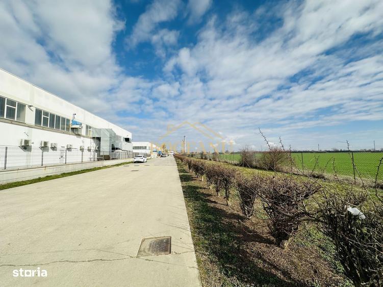 BG141-Teren-46.400 mp-Front 300 ml acces TIR | INCONTRO-Calea Sagului - 4