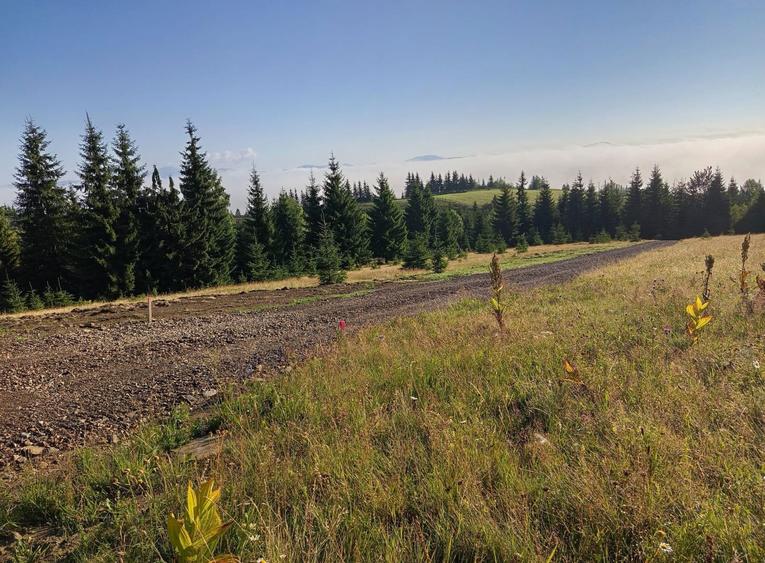 Teren Piatra Fantanele / Pasul Tihuta 1.450 euro/ar - 8