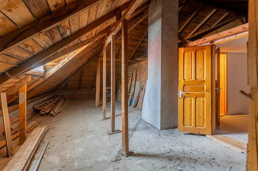 Locație rară: casă între pădure și apă, perfectă pentru un proiect de suflet - 26