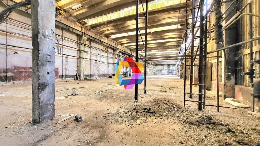 Hala - 8062 mp  # plus-imo.ro - 6