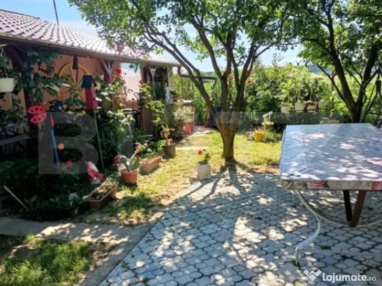 Teren 10 arii extravilan zona Careiului - 2