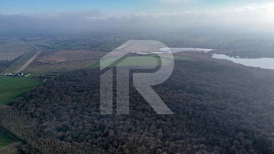 Teren langa Manastirea Sfantul Nicolae Sitaru - 2