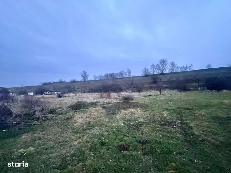 Teren intravilan industrial, zona Calea Borsului - 2141 mp - 3