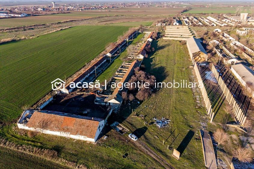 Ferma 1.15 HA lângă DN7 & Autostrada E68 – Nădlac | clădiri+utilități - 5