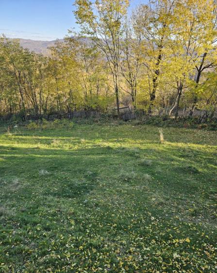 Loturi de teren intravilane! 975mp,949mp,1131mp,1450mp - 7