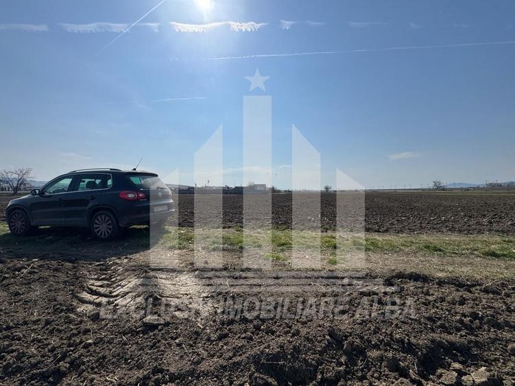 Teren intravilan | 1600 mp | 16 ml deschidere | Oarda de Jos - 3