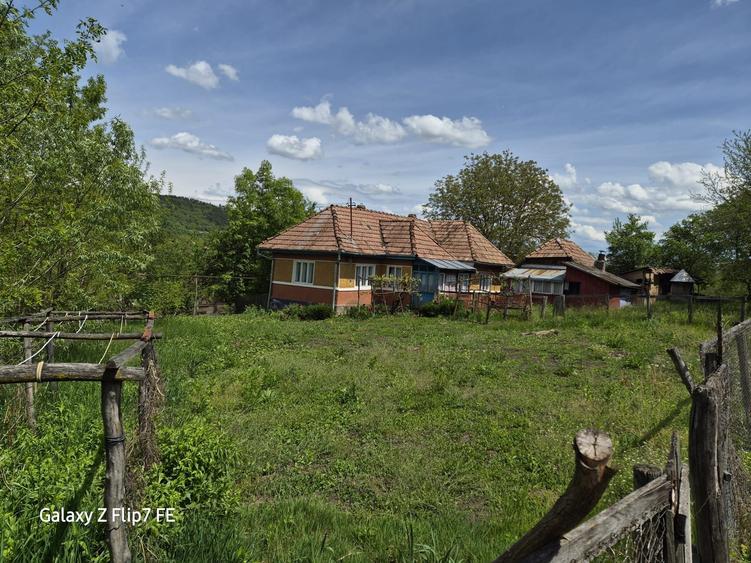 Casa de vanzare in com Bala - 5