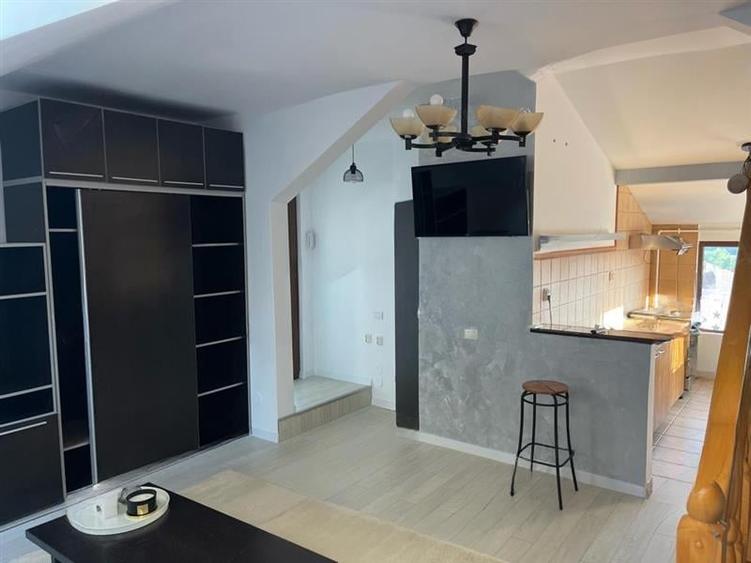 Studio deschis si la regim hotelier, priveliste frumoasa, pet friendly, loc parc - 6