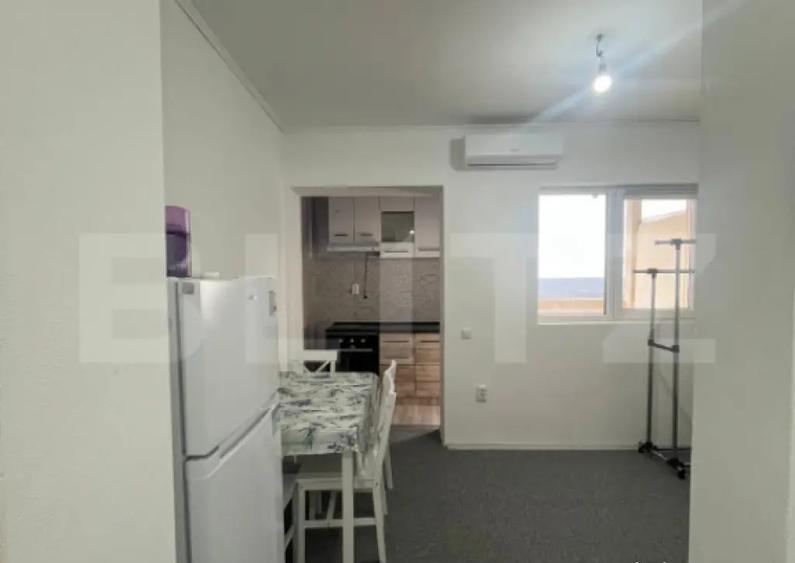 Apartament 1 camera CIUREA - 9