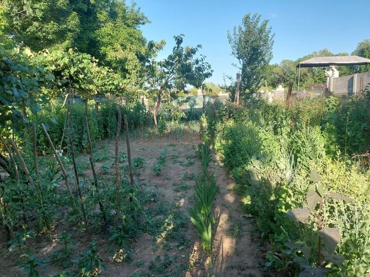 CASĂ 5 CAMERE\ OȚELU-ROȘU\ZONA CIREȘA \ COMISION 0% - 21