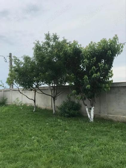 Casa de vanzare Lehliu-Gara, sat Razvani. - 5