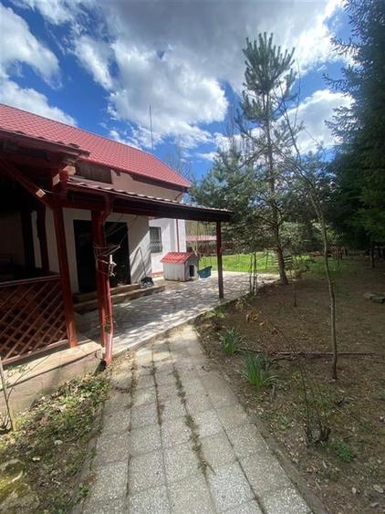 VILA  10 camere P + 1 si TEREN in ZONA HALOS - LOCUINTA BUSSINES IN MANASTIREA C - 5