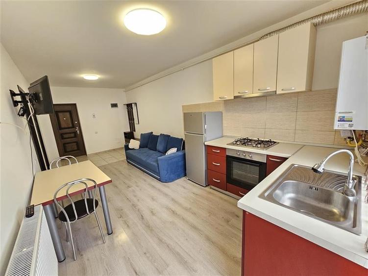 Studio de inchiriat la Subcetate City - 4