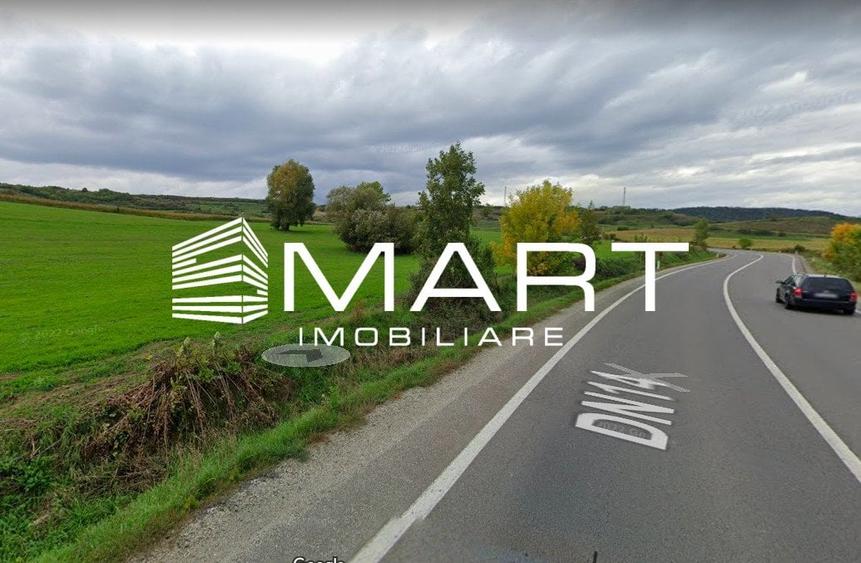 Teren extravilan 42000MP Seica Mare - Sibiu - 1