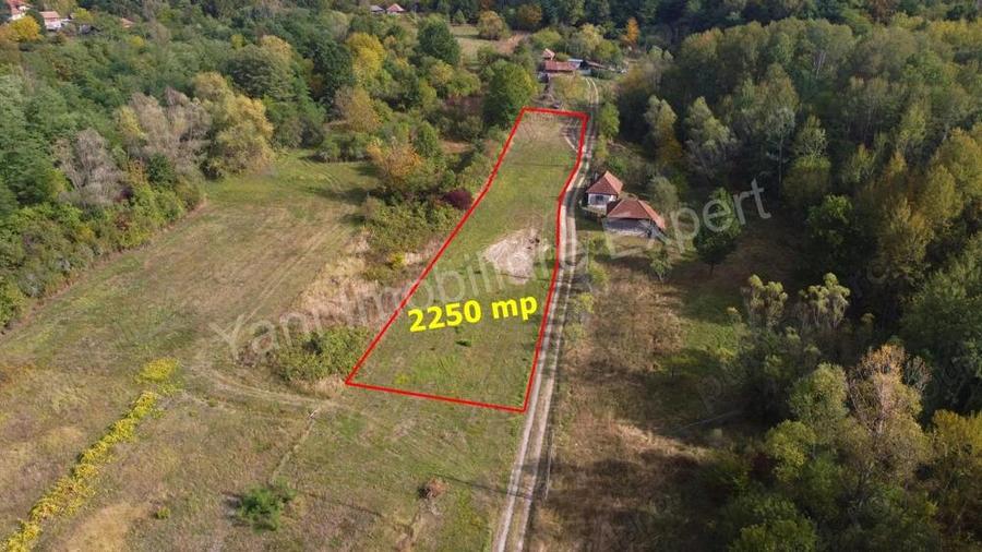 Teren de vanzare in comuna Poienarii de Arge?, sat Ioanice?ti, jude? Arge?. - 1