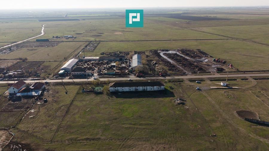 Hală industrială cu teren generos în Zărand, Arad - 45