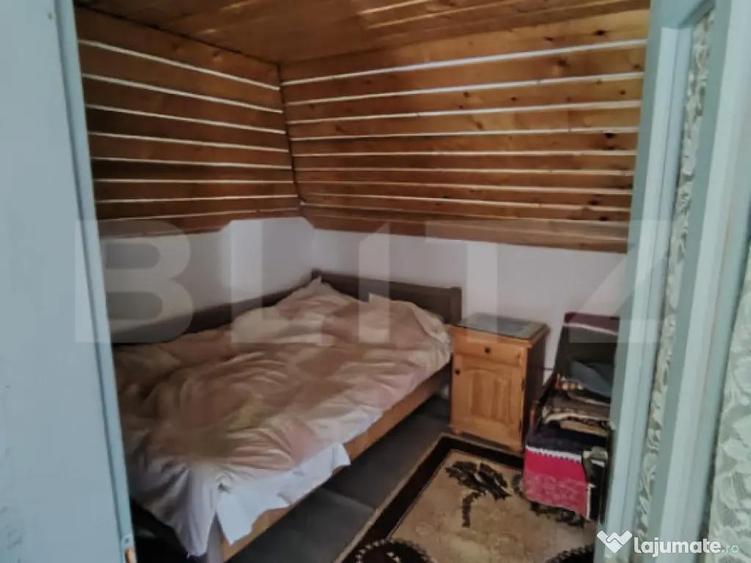 Cabana 5 camere Salard - 15